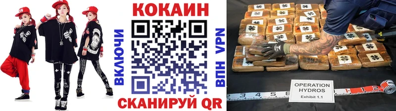 omg рабочий сайт  купить закладку  Камень-на-Оби  COCAIN FishScale 