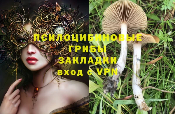 прущая мука Бугульма