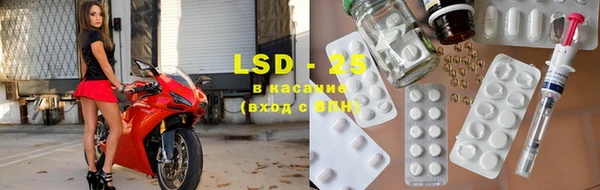 ПСИЛОЦИБИНОВЫЕ ГРИБЫ Бородино