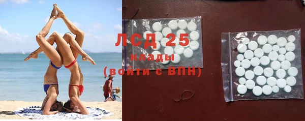 ПСИЛОЦИБИНОВЫЕ ГРИБЫ Бородино