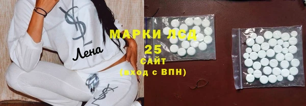 ПСИЛОЦИБИНОВЫЕ ГРИБЫ Бородино