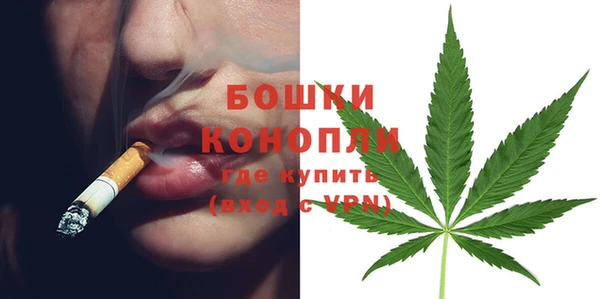ПСИЛОЦИБИНОВЫЕ ГРИБЫ Бородино