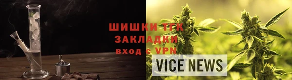 ПСИЛОЦИБИНОВЫЕ ГРИБЫ Бородино