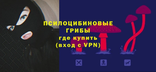 спиды Бронницы