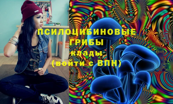 ПСИЛОЦИБИНОВЫЕ ГРИБЫ Бородино