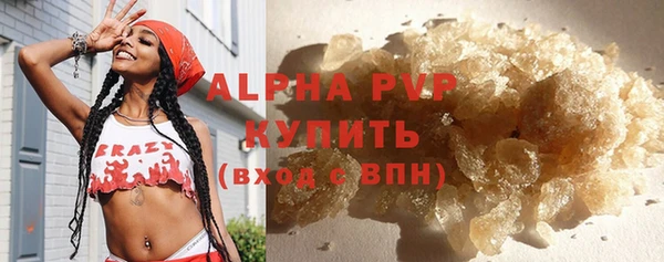 ПСИЛОЦИБИНОВЫЕ ГРИБЫ Бородино