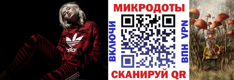 Псилоцибиновые грибы ЛСД  Камень-на-Оби 